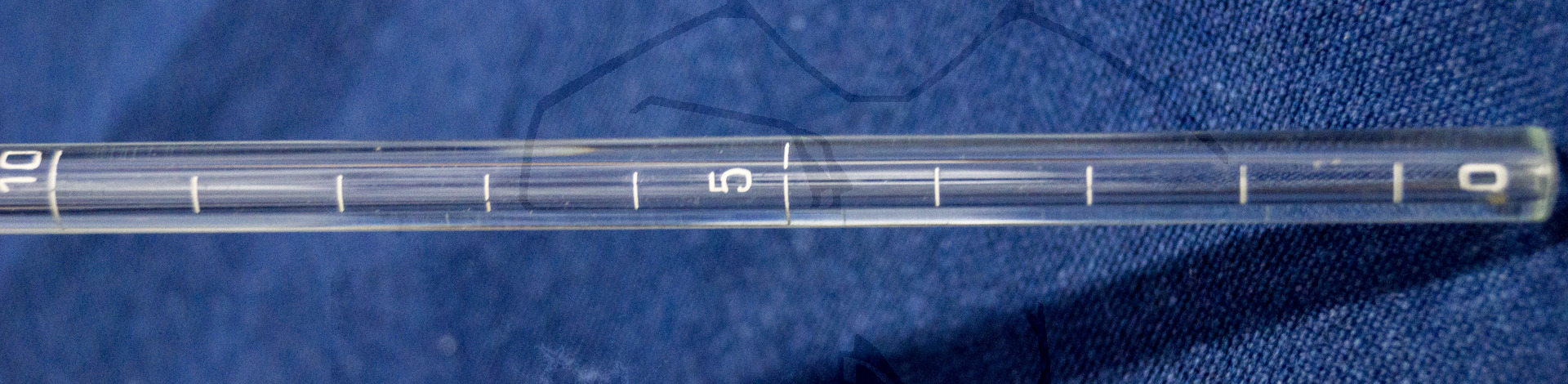 Instrumentenbox zur Lumbalpunktion, um 1930, Detailaufnahme Auffangbehälter